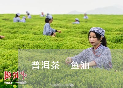 普洱茶 鱼油/2023042824099